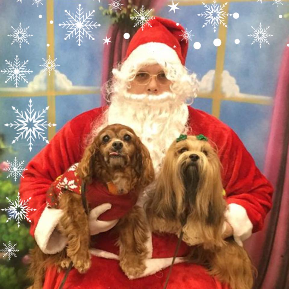 Sparky in a red Christmas sweater on Santa’s lap next to his long-haired fur sister Caroline.